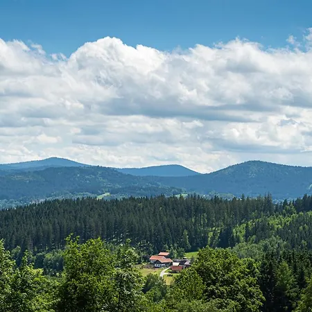 Otel Robenstein Aktivhotel & Zwiesel