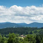 Hotel Robenstein Aktivhotel & Zwiesel